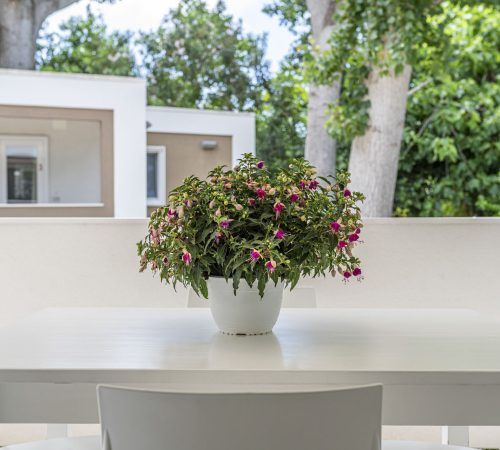 Mobile Home COLOMBA