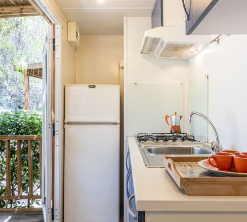 Mobile Home PICCHIO